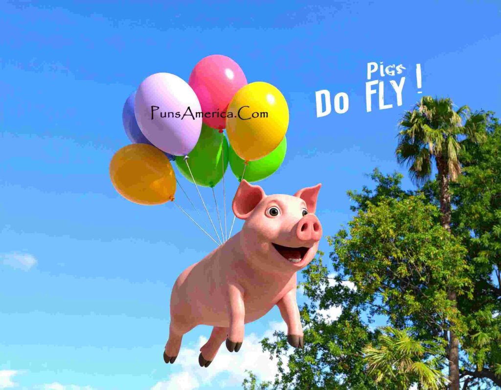 Pigs do Fly Will You Try. Pig Punstagram