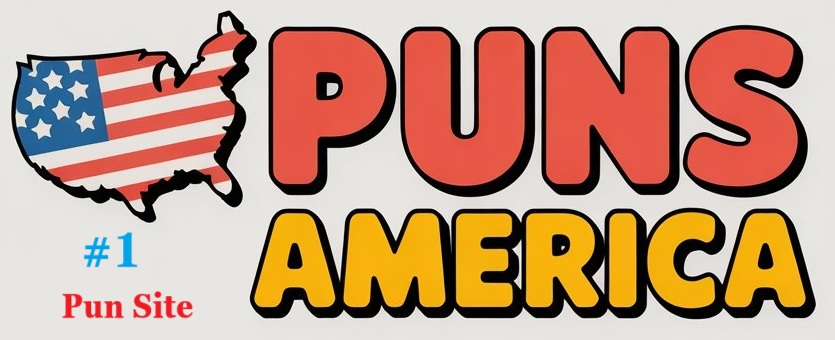 The America’s #1 Pun Site Punsamerica.Com