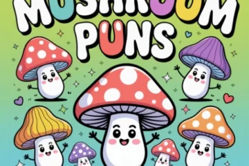 Mushroom Puns